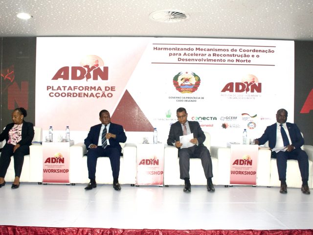 ADIN LANÇA PLATAFORMA DE COORDENAÇÃO EM CABO DELGADO
