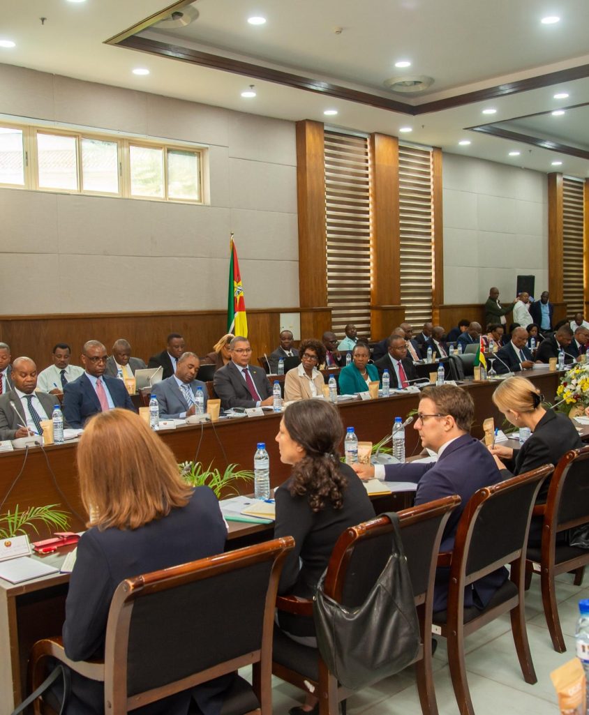 ADIN apresenta projectos em reunião com a União Europeia